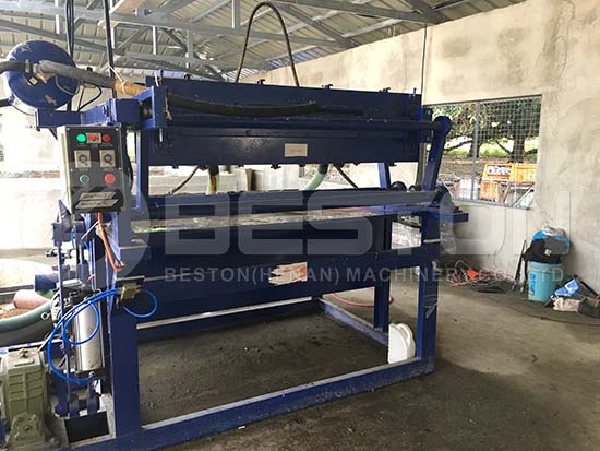 BTF-1500 Egg Tray Machine